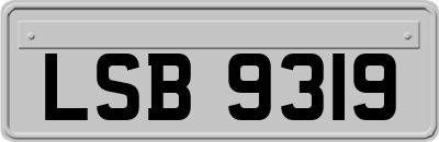 LSB9319