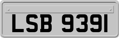 LSB9391
