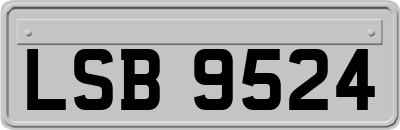 LSB9524