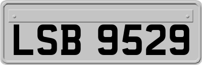 LSB9529
