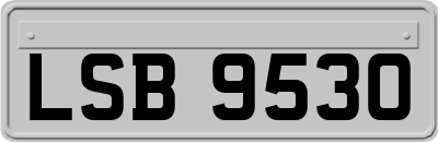 LSB9530