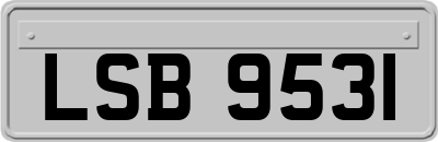 LSB9531