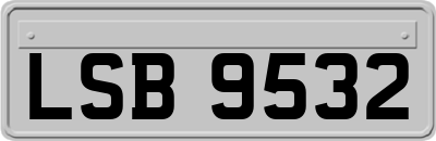 LSB9532