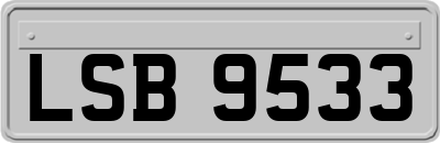 LSB9533