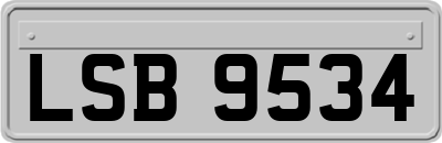 LSB9534