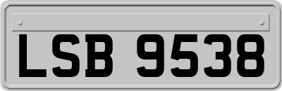 LSB9538
