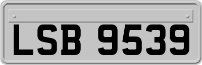 LSB9539