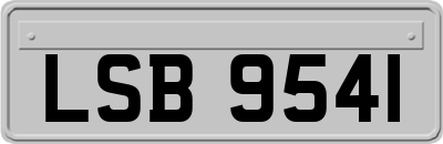 LSB9541