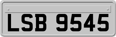 LSB9545