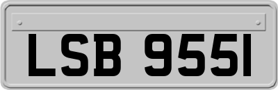 LSB9551