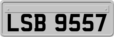 LSB9557