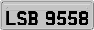 LSB9558