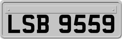 LSB9559