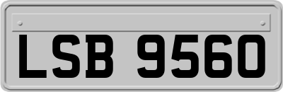 LSB9560