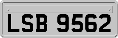 LSB9562