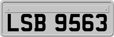 LSB9563