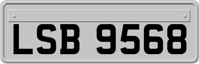 LSB9568