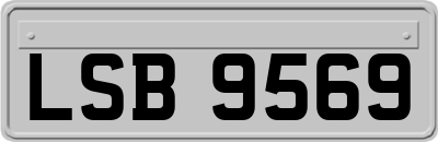 LSB9569
