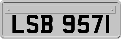 LSB9571
