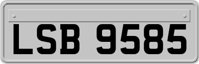 LSB9585