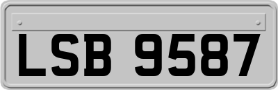 LSB9587