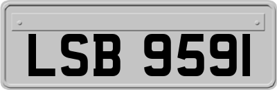 LSB9591