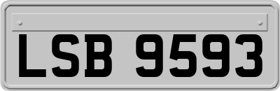 LSB9593