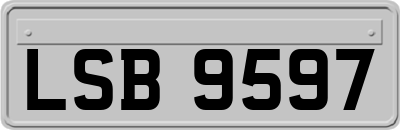 LSB9597