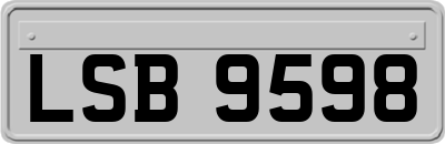 LSB9598