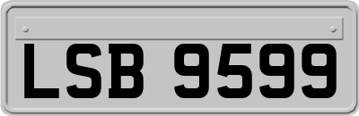 LSB9599