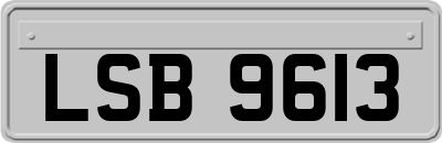 LSB9613