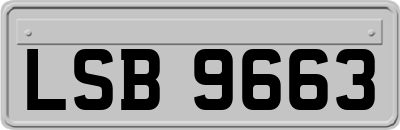 LSB9663
