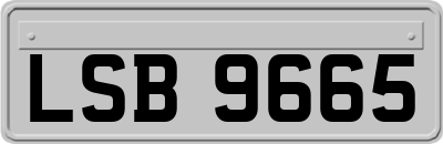 LSB9665