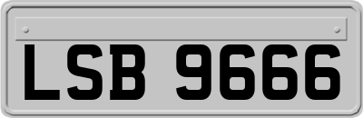 LSB9666