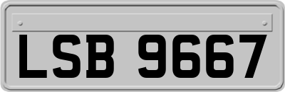 LSB9667