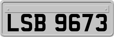 LSB9673