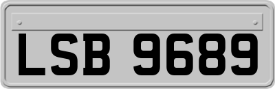 LSB9689