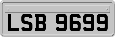LSB9699