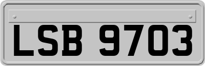 LSB9703