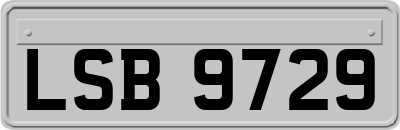 LSB9729