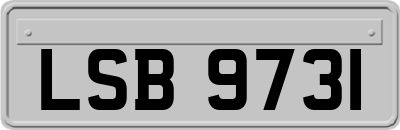 LSB9731