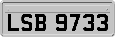 LSB9733