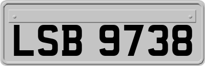 LSB9738