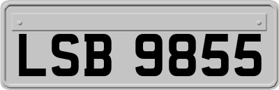 LSB9855