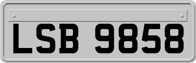 LSB9858