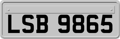 LSB9865