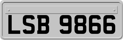 LSB9866