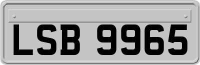 LSB9965