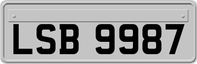 LSB9987