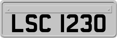 LSC1230